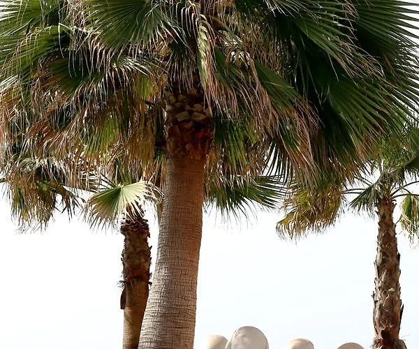 Apartment Suitur Frente A La Playa Fuengirola