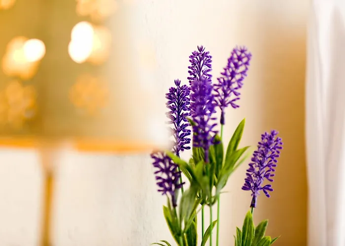 Apartment Suitur Frente A La Playa