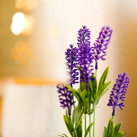 Lägenhet Suitur Frente A La Playa