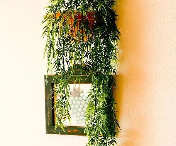 Apartamento Suitur Frente A La Playa Fuengirola